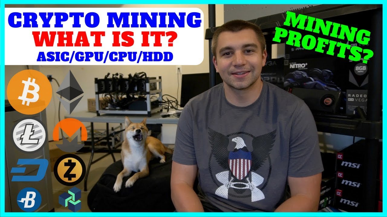 Crypto Mining Gpu Vs Asic / The Outlook on Cryptocurrency Mining - GPU vs ASIC vs FPGA ... / In the case of gpus, the hash rate power depends upon the type of coin one is mining.